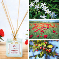 Coffret bougies et diffuseur parfum d'ambiance Coquelicot - ARBERI