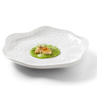 ASSIETTE CORAIL EMAIL MAT CHEF COLLECTION - VISTA ALEGRE