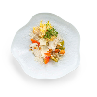 ASSIETTE CORAIL EMAIL MAT CHEF COLLECTION - VISTA ALEGRE